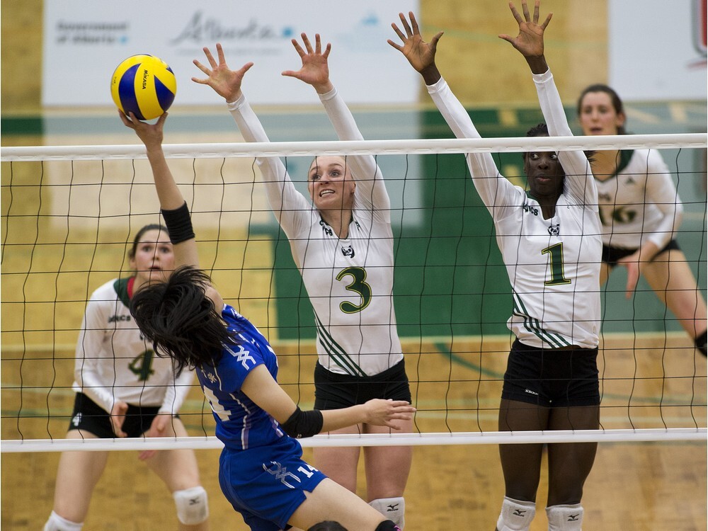 Voices of Alberta Volleyball